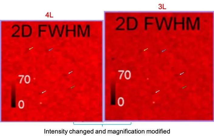 院士论文被质疑造假！这篇Nature Nano.通讯作者为ACS Nano副主编，刚发表不到半年！