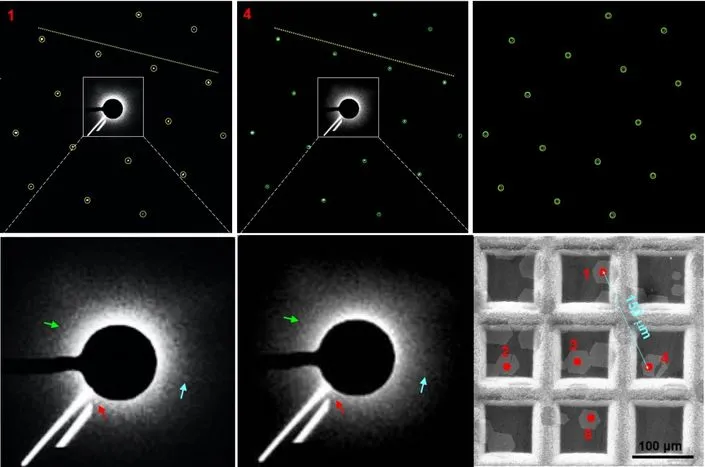 院士论文被质疑造假！这篇Nature Nano.通讯作者为ACS Nano副主编，刚发表不到半年！