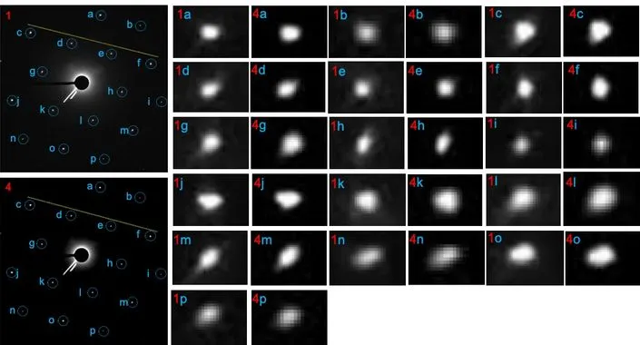 院士论文被质疑造假！这篇Nature Nano.通讯作者为ACS Nano副主编，刚发表不到半年！