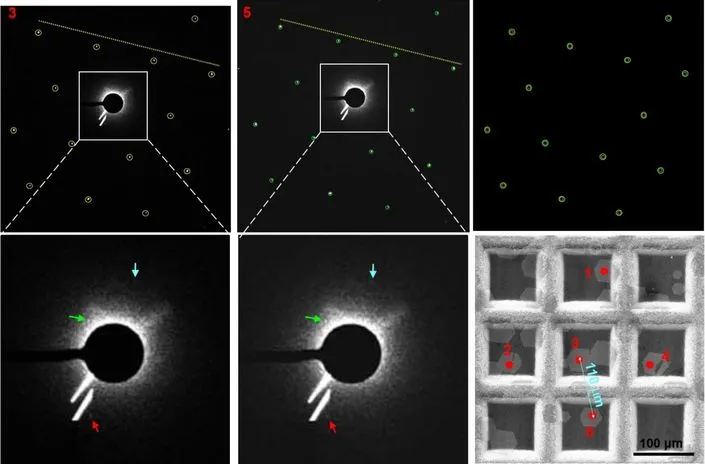 院士论文被质疑造假！这篇Nature Nano.通讯作者为ACS Nano副主编，刚发表不到半年！