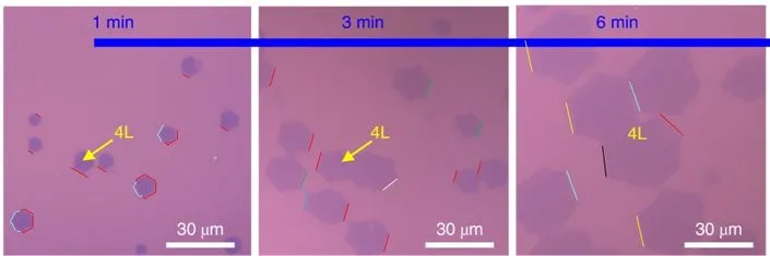 院士论文被质疑造假！这篇Nature Nano.通讯作者为ACS Nano副主编，刚发表不到半年！