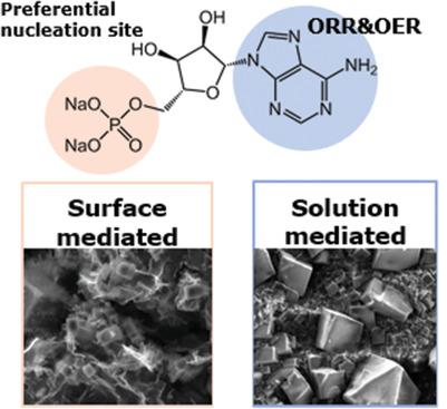 Small：核苷酸一磷酸腺苷修饰石墨烯气凝胶电极用于Na-O2电池