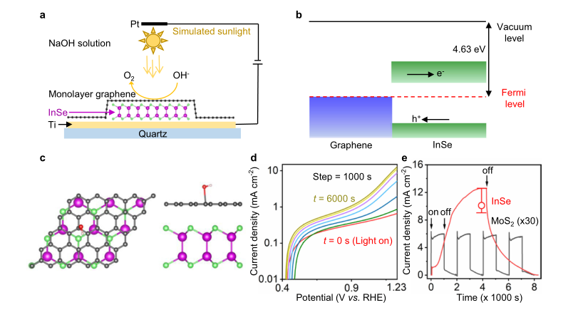 Nature Communications：InSe/石墨烯异质结用于原子薄光阳极