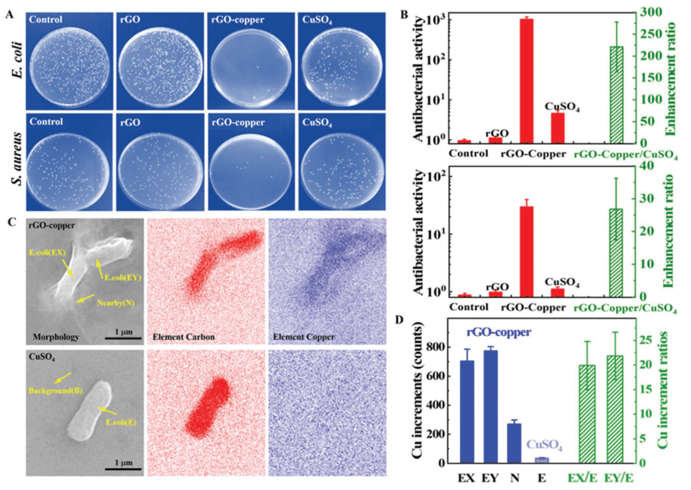 AFM：Cu/还原氧化石墨烯低毒选择性抗菌效应