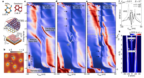 王者归来！Nature今年首篇魔角石墨烯文章
