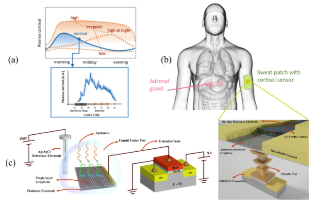 用汗液追踪压力，你的压力超标了吗？