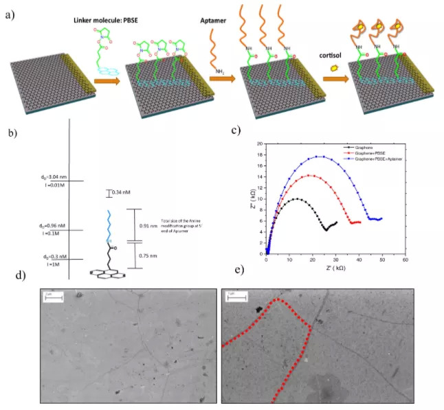 用汗液追踪压力，你的压力超标了吗？