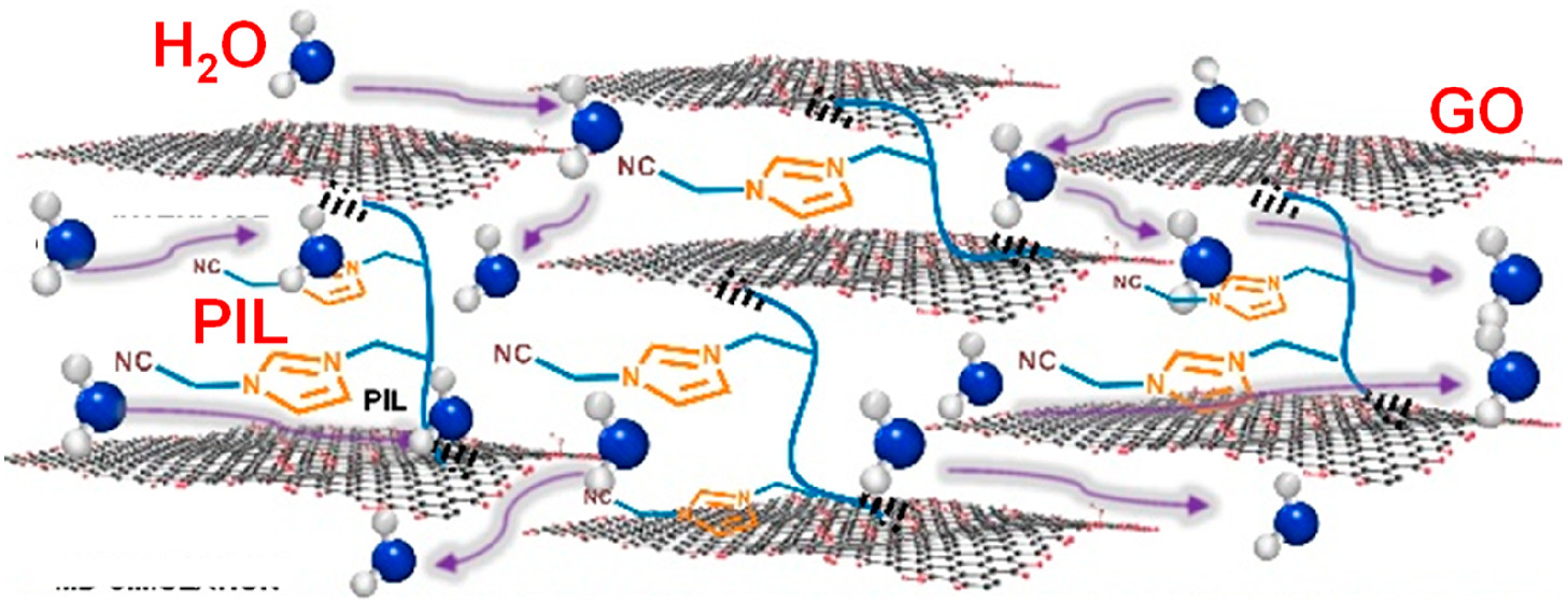 ACS Nano：氧化石墨烯的原位级联阴离子化和复合用于高性能纳滤膜