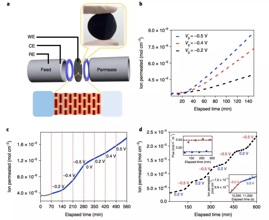 李丹/刘哲Nature Nano：巧用石墨烯膜电控离子传输！