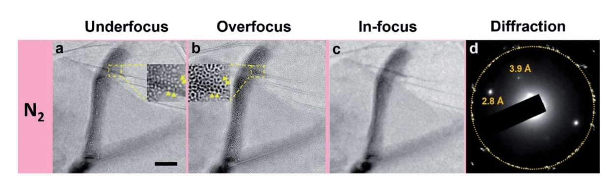 Nature Chem亮点：室温双层石墨烯限域气体分子成像
