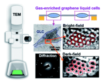Nature Chem亮点：室温双层石墨烯限域气体分子成像