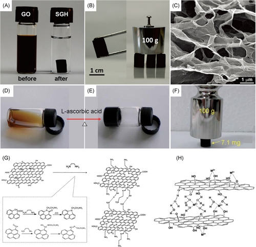 南京大学王学斌Carbon Energy: 用于双电层超级电容器的多孔3D石墨烯块体
