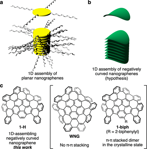 JACS: 负弯曲纳米石墨烯组装的双螺旋超分子纳米纤维