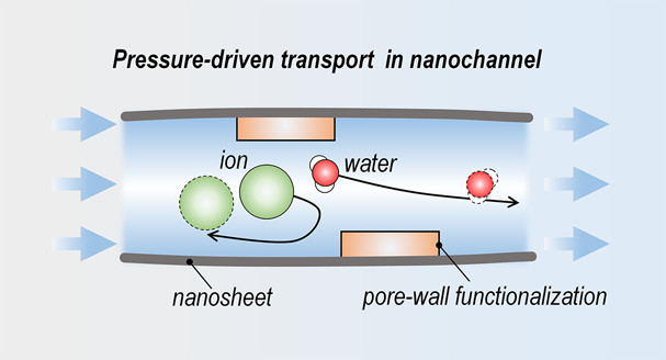 Nano Lett.：化学转化的石墨烯纳米片用于构建离子排斥纳米通道膜