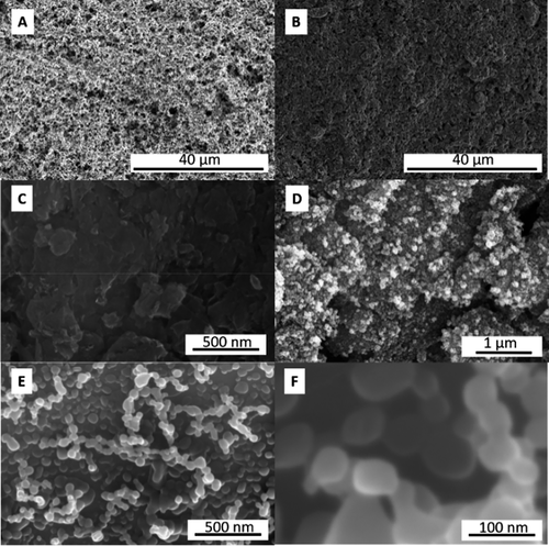 ACS Catal.: 光子闪光技术合成Mo2C/石墨烯电催化剂用于高效析氢