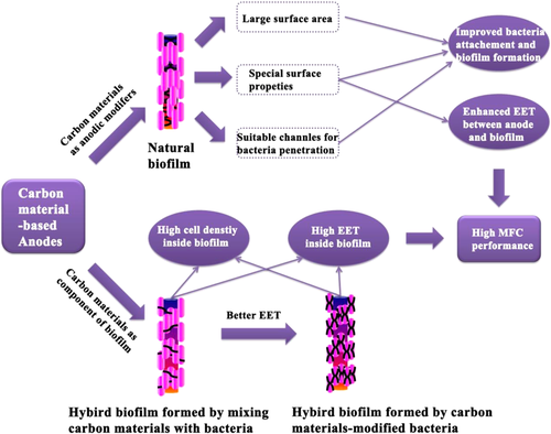 Carbon Energy: 微生物燃料电池中的碳材料基阳极