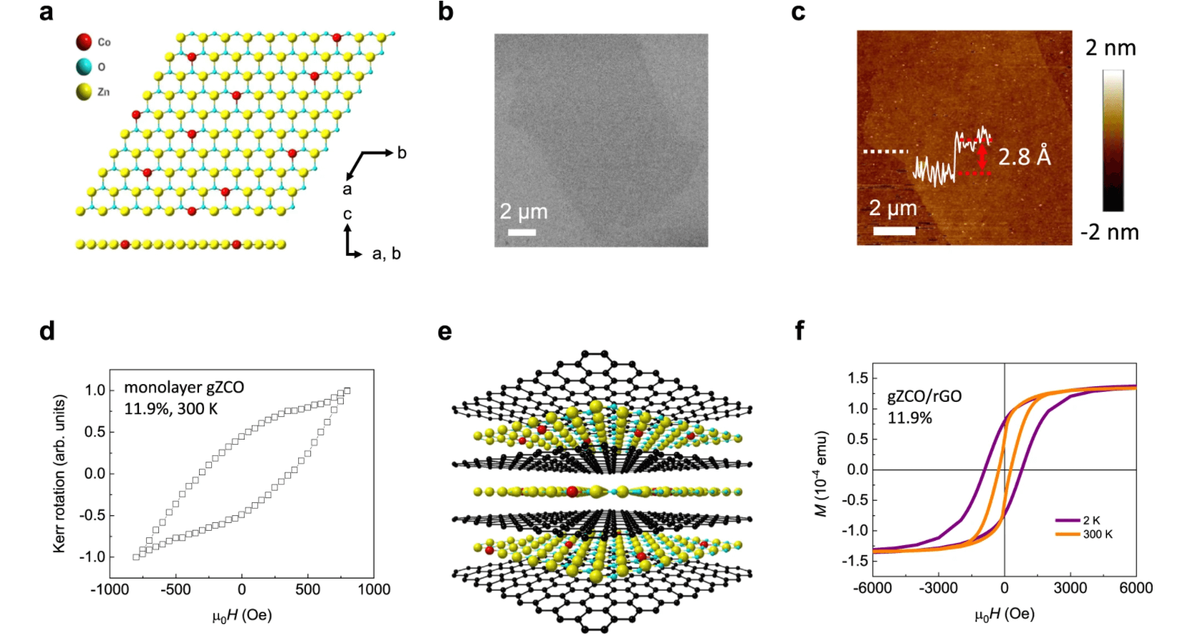 Nature Commun：Co掺杂类石墨烯单层ZnO的铁磁性