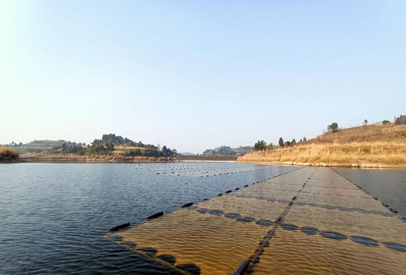 雁江区全力守护“大水缸” 确保群众畅饮放心水