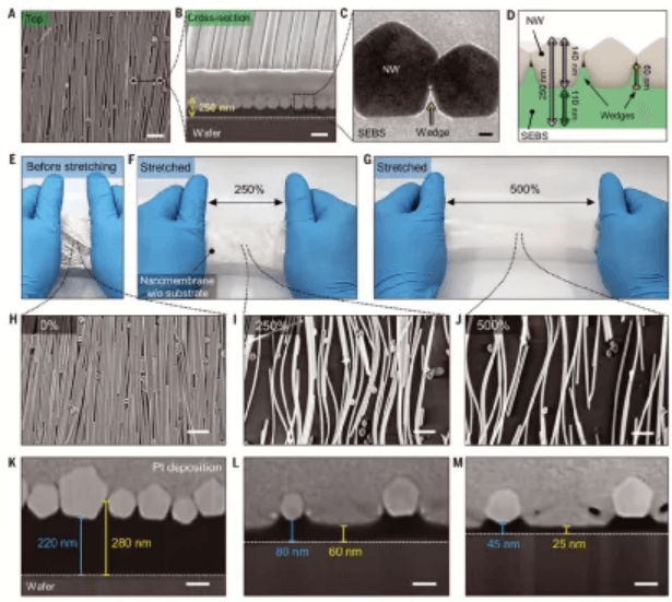 韩国小哥哥一作发Science：电子皮肤，重大突破！