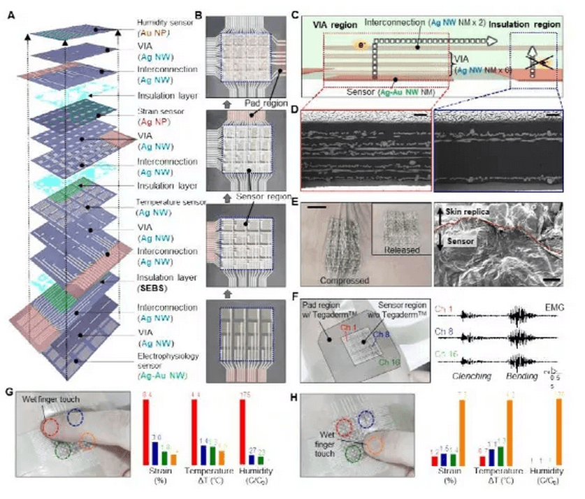 韩国小哥哥一作发Science：电子皮肤，重大突破！