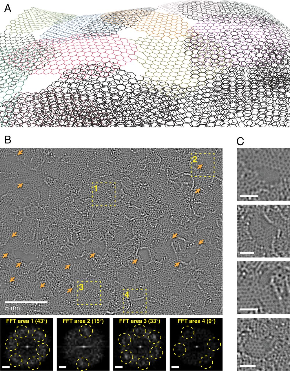PNAS：自下向上合成具有原子厚度分子筛分孔的石墨烯薄膜