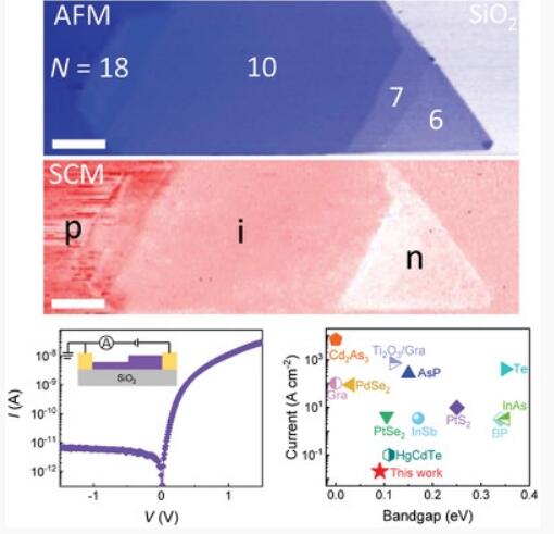 AM：2D层状材料中的可控掺杂