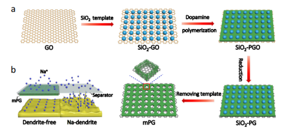 吴忠帅&余彦Nat Commun：聚丙烯隔膜的聚多巴胺/多层石墨烯涂层助力稳定的钠金属循环