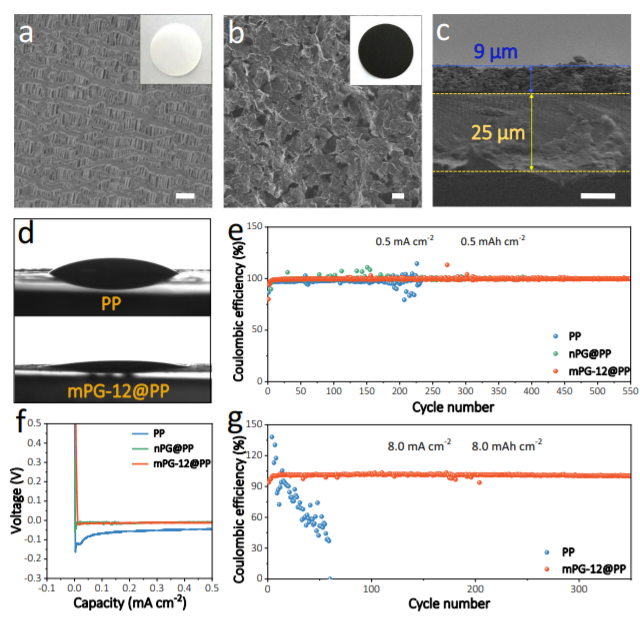 吴忠帅&余彦Nat Commun：聚丙烯隔膜的聚多巴胺/多层石墨烯涂层助力稳定的钠金属循环