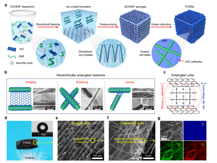 Nat Commun：一种具有层次化缠绕石墨烯网络的柔性陶瓷纳米纤维海绵用于吸收噪音