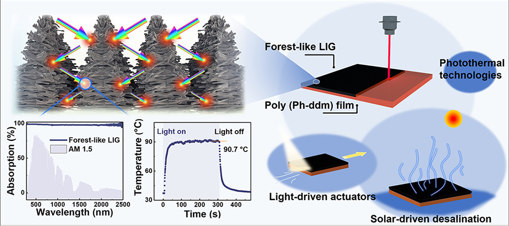 ACS Nano：一种具有超高太阳能利用效率的森林状激光诱导的石墨烯薄膜