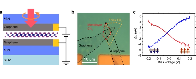 Nature Commun：石墨烯/CrI3/石墨烯探测光螺旋度