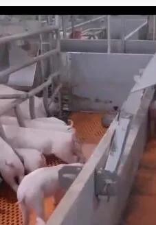 全球生物质石墨烯复合材料领军企业『圣泉』参展2022SIUF深圳内衣展