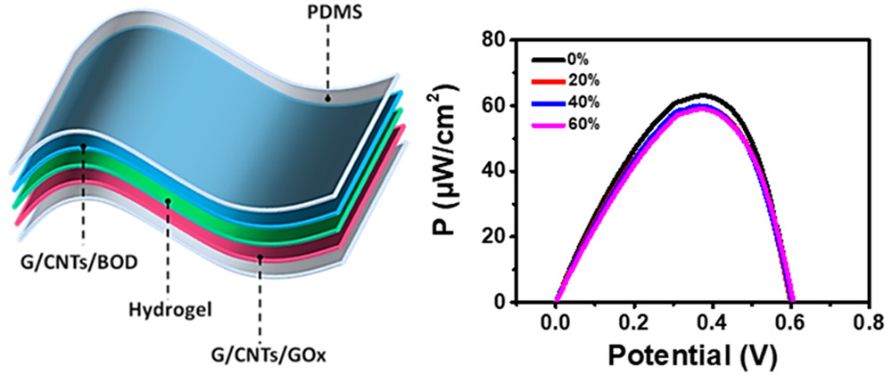 Nano Letters：一种基于纺织电极和聚合物水凝胶电解质的柔性可伸缩高性能酶生物燃料电池