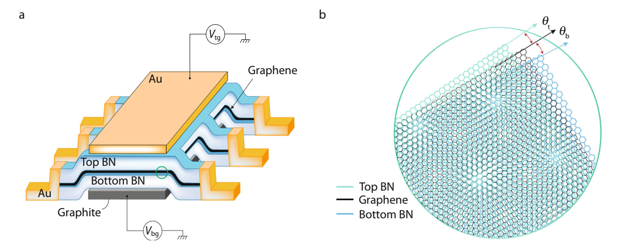 Nature Commun：hBN/石墨烯/hBN双重moiré超晶格异质结中的相关量子态