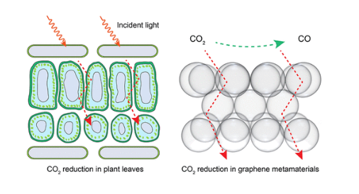 ACS Nano：利用贵金属原子介导的石墨烯纳米气泡阵列的仿生光叶用于CO2光还原
