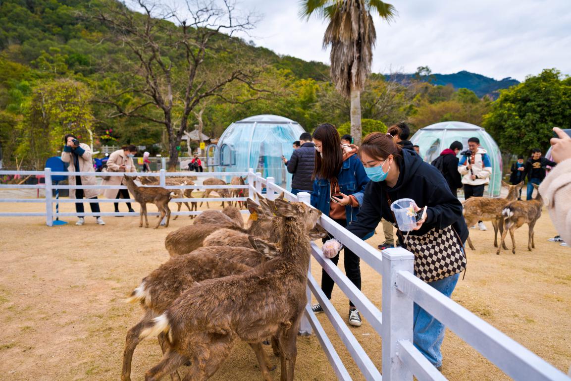 洛江：打造产城融合、生态宜居的山水新城