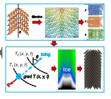 AM：一种力学性能异常的双结构石墨烯超材料