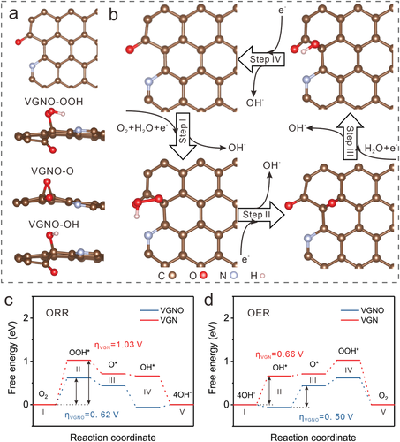Adv Sci：Plasma气相沉积制备N,O-掺杂垂直少层石墨烯氧催化剂