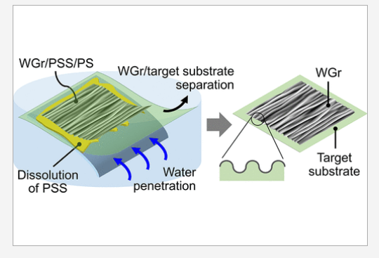 ACS Nano：大面积褶皱石墨烯在聚合物基底上保持结构完整性和无残留转移