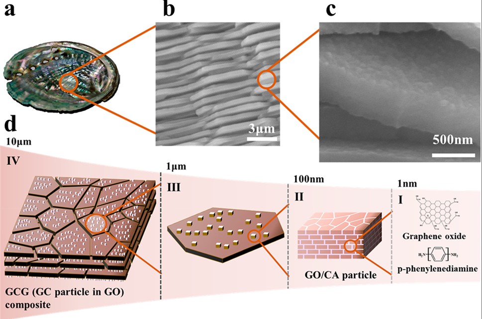 ACS Nano：具有分层结构的氧化石墨烯复合材料