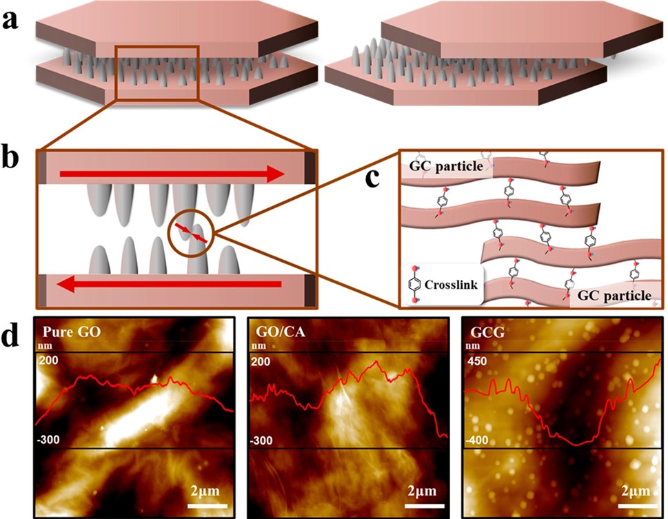 ACS Nano：具有分层结构的氧化石墨烯复合材料