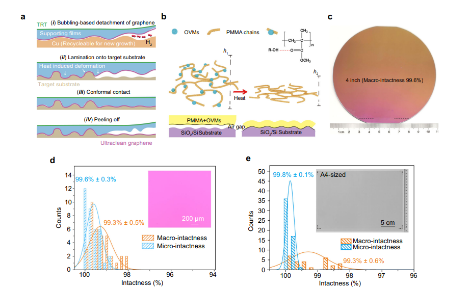 Nat Commun：通过可控保形接触实现无裂纹、污染和褶皱的二维材料的大面积转移