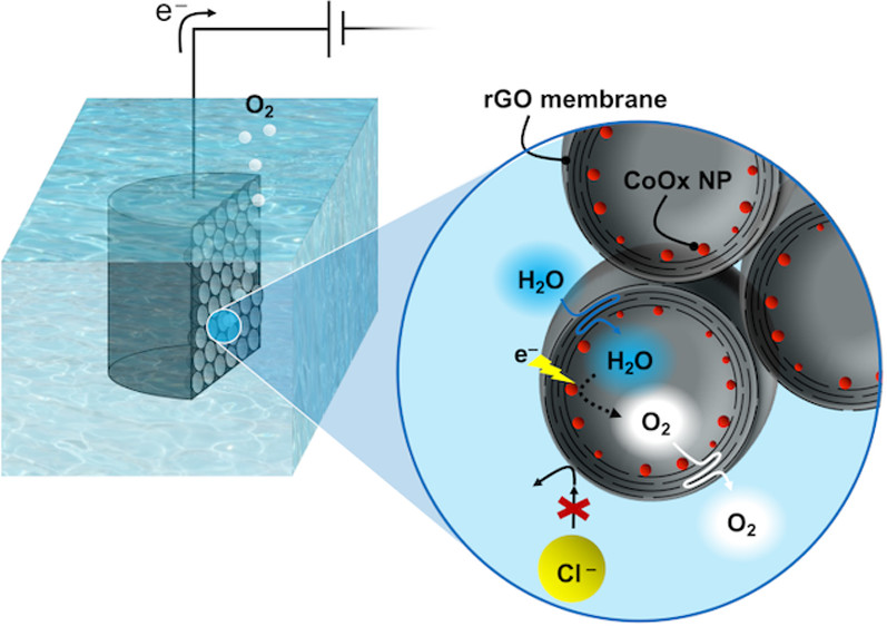 ACS Nano：离子不可渗透的还原氧化石墨烯多孔电极中氧化钴对水的选择性催化电氧化