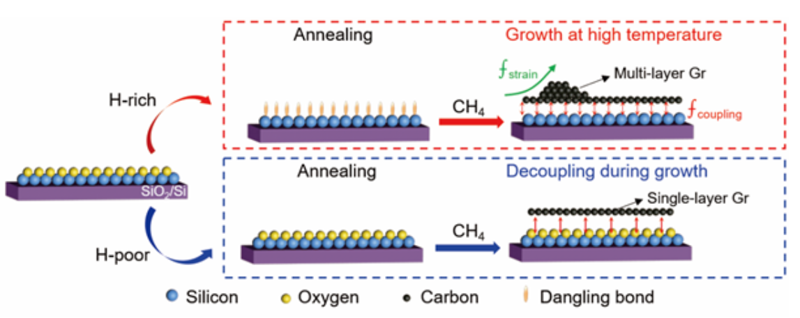 Adv. Mater.：在硅晶圆上生长的准悬浮石墨烯