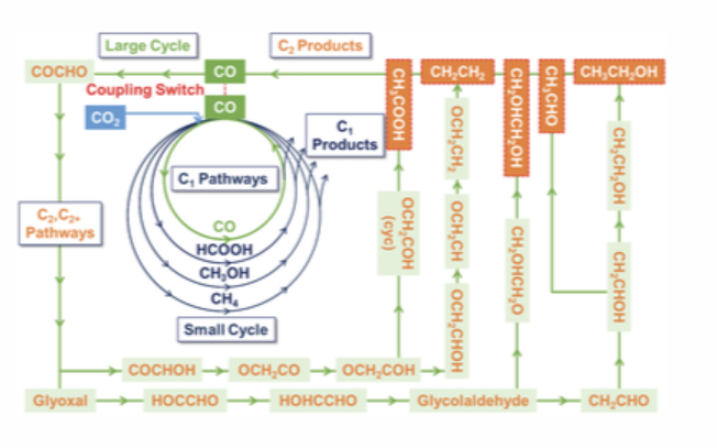 AEM：石墨烯负载的原子催化剂中促进CO2RR生成C2产物的双相关性