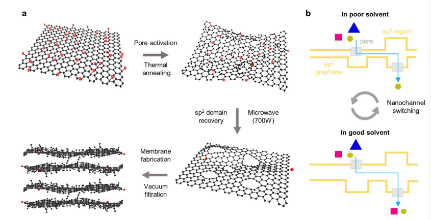 Nat Commun：用于超快可切换有机溶剂纳滤的纳米多孔石墨烯膜微波辅助设计
