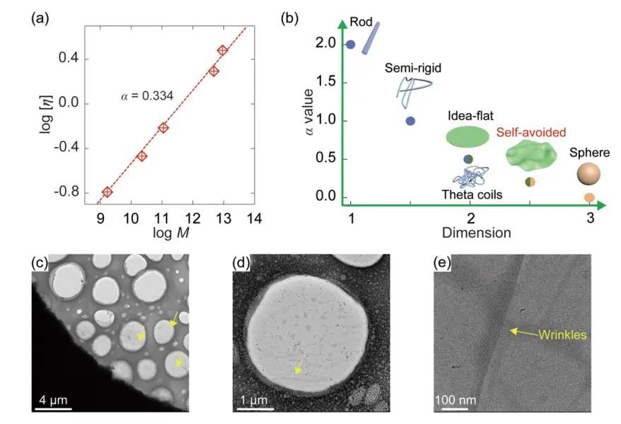浙大许震与清华徐志平合作：二维大分子溶液构象标度关系的测量与验证