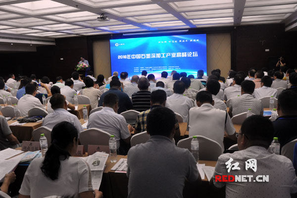 2016年中国石墨深加工产业高峰论坛在长沙举行