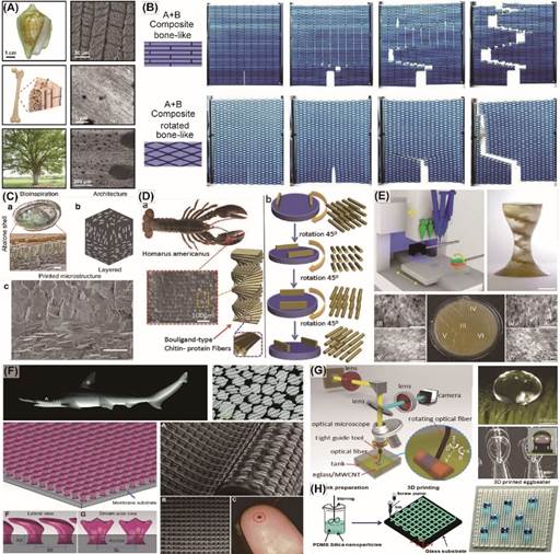 AFM长篇综述：软物质/软材料的3D打印