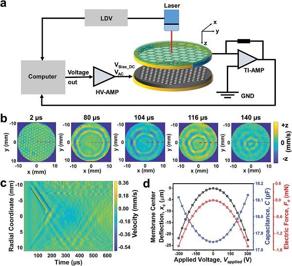 Adv. Mater.：相互增强的聚合物-石墨烯双层膜用于高效声转导
